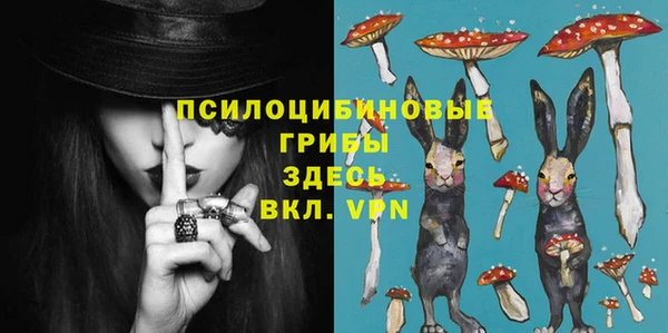 МДПВ Михайловка